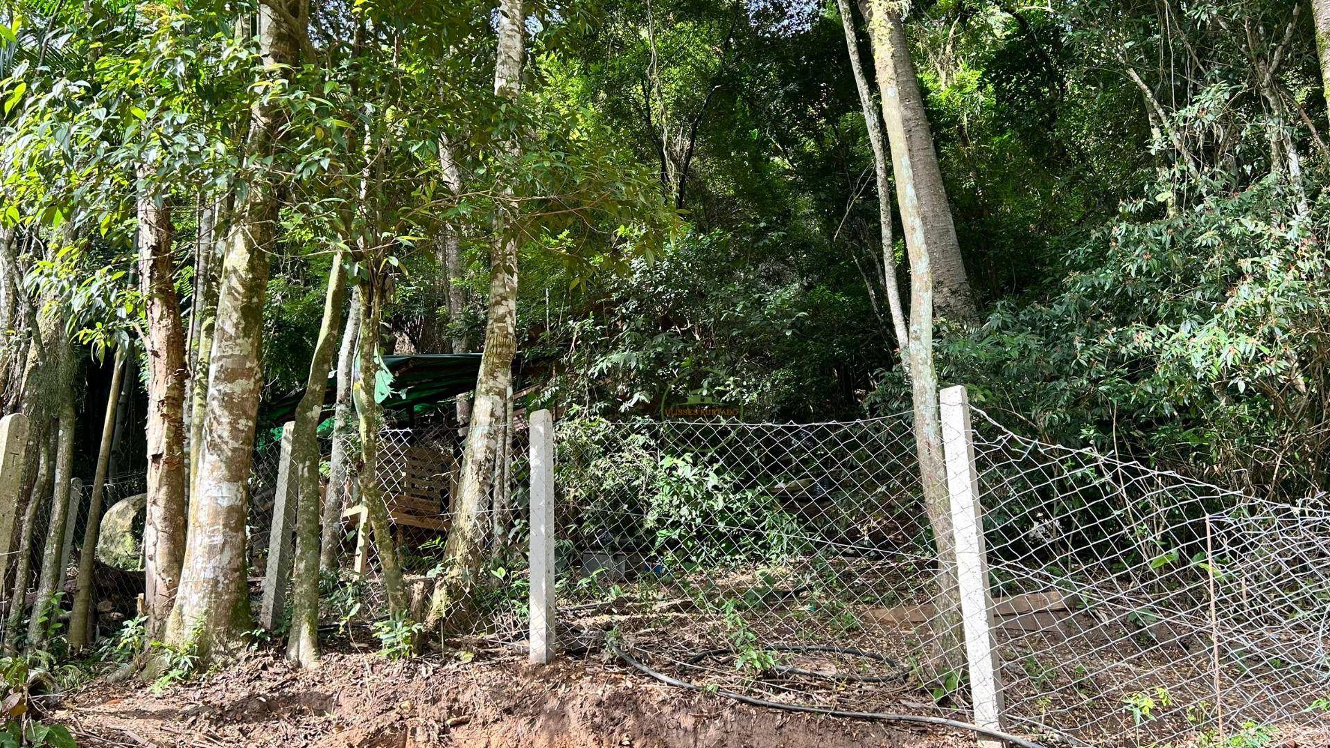 Sítio, 3 hectares - Foto 58