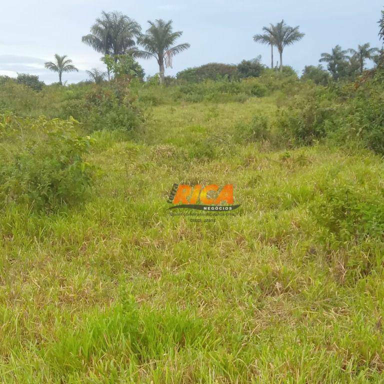 Fazenda à venda, 6500000M2 - Foto 18