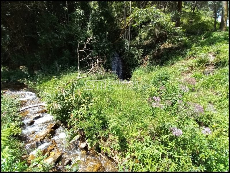 Fazenda à venda, 24m² - Foto 6