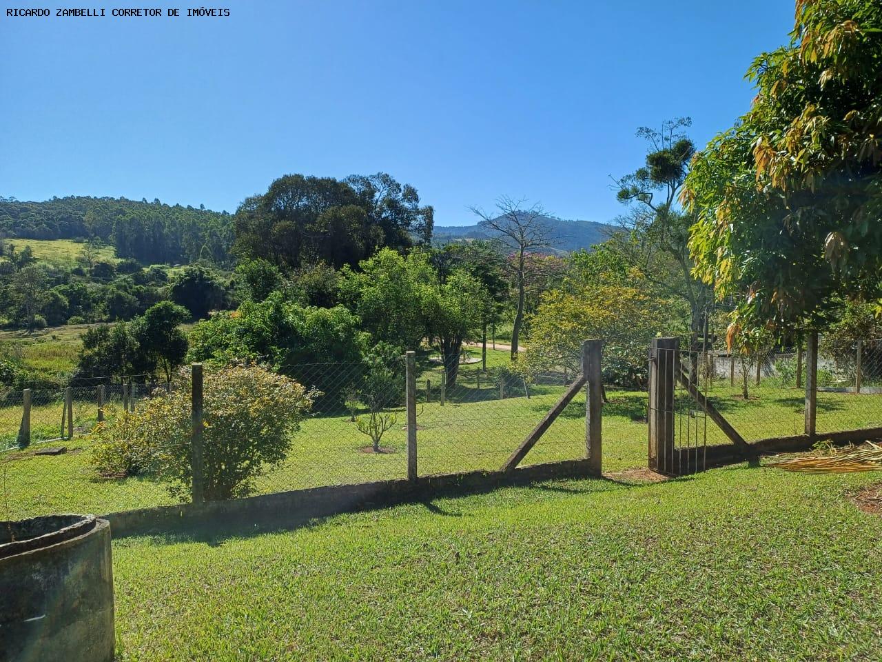 Fazenda à venda com 3 quartos, 1500m² - Foto 16