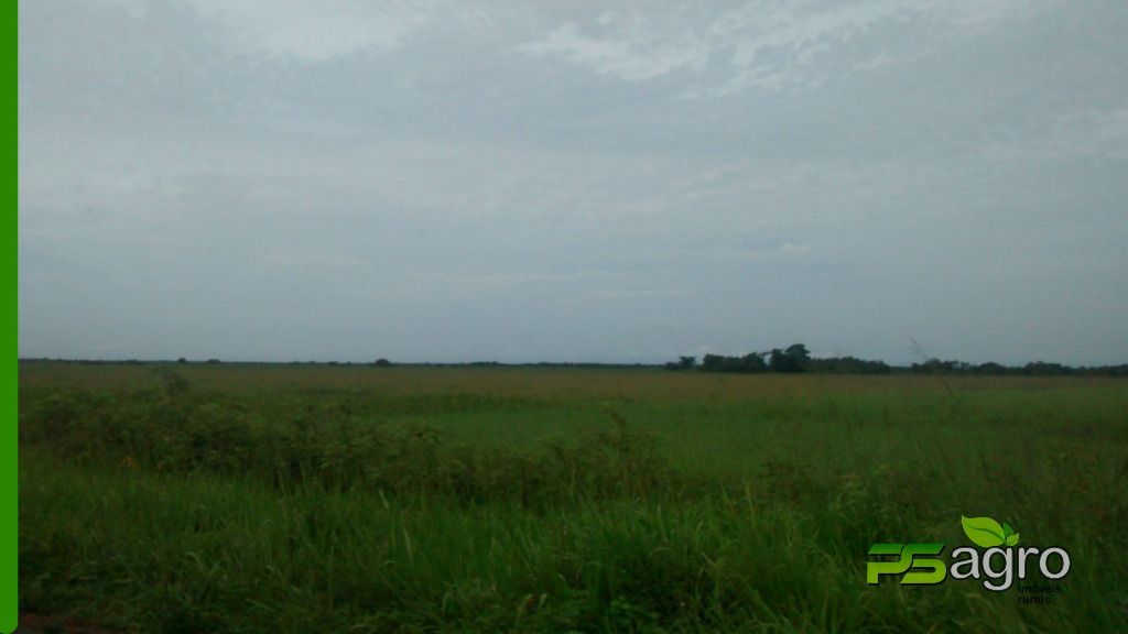 Fazenda-Sítio-Chácara, 49961 hectares - Foto 4