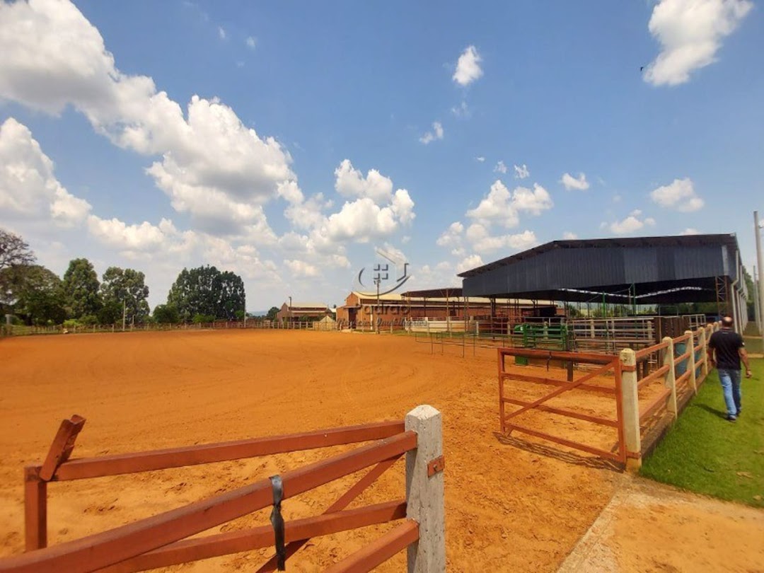 Haras e Área Rural Padrão à venda com 3 quartos, 168000m² - Foto 52