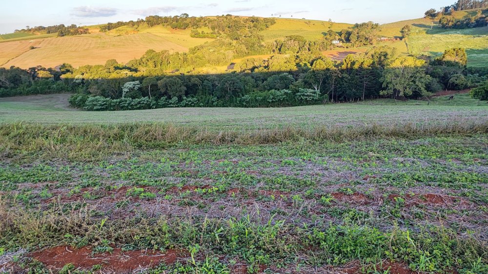 Fazenda à venda, 13m² - Foto 12