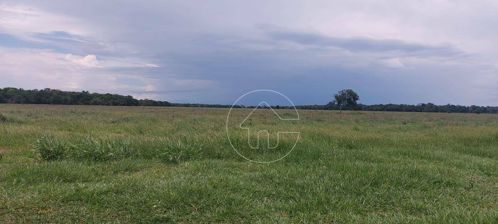 Fazenda à venda, 17960000M2 - Foto 3