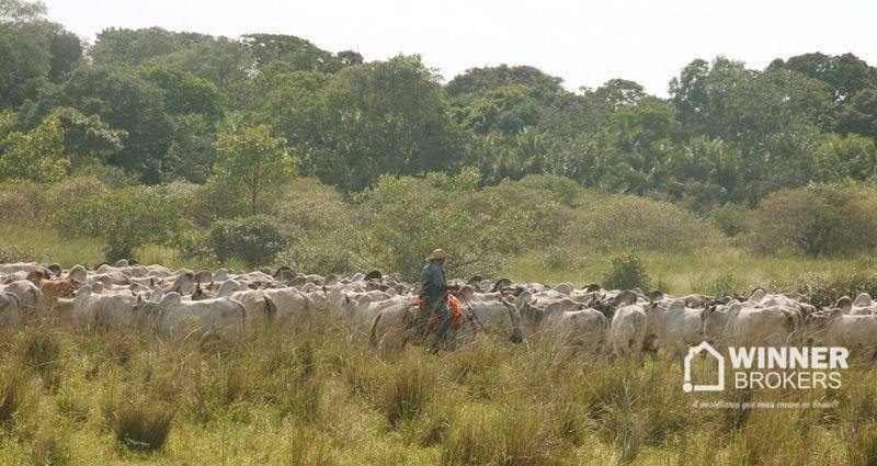 Flat/Apart Hotel, 20 quartos, 20000 m² - Foto 34