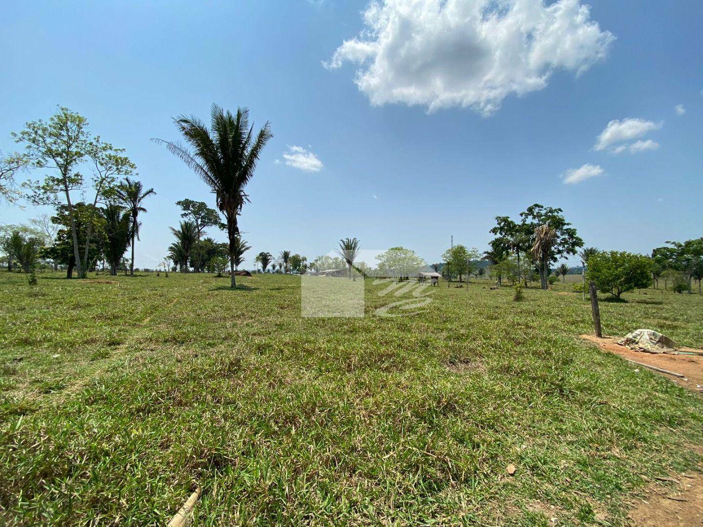 Fazenda à venda com 3 quartos, 2420000M2 - Foto 26