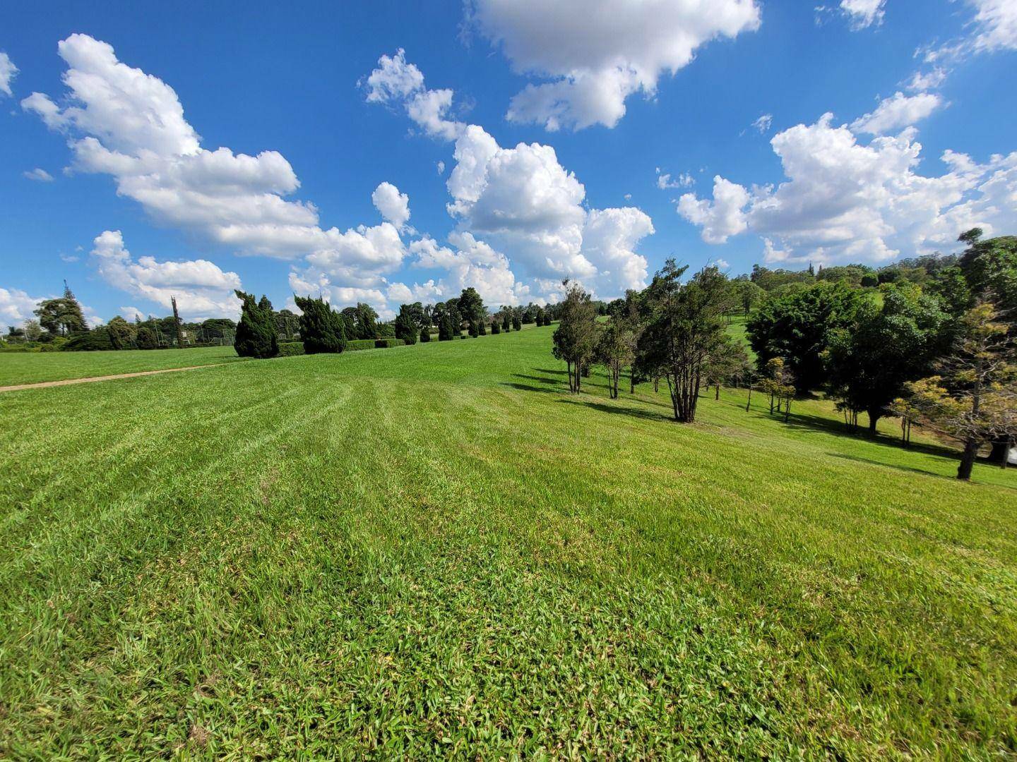 Terreno à venda, 500M2 - Foto 4