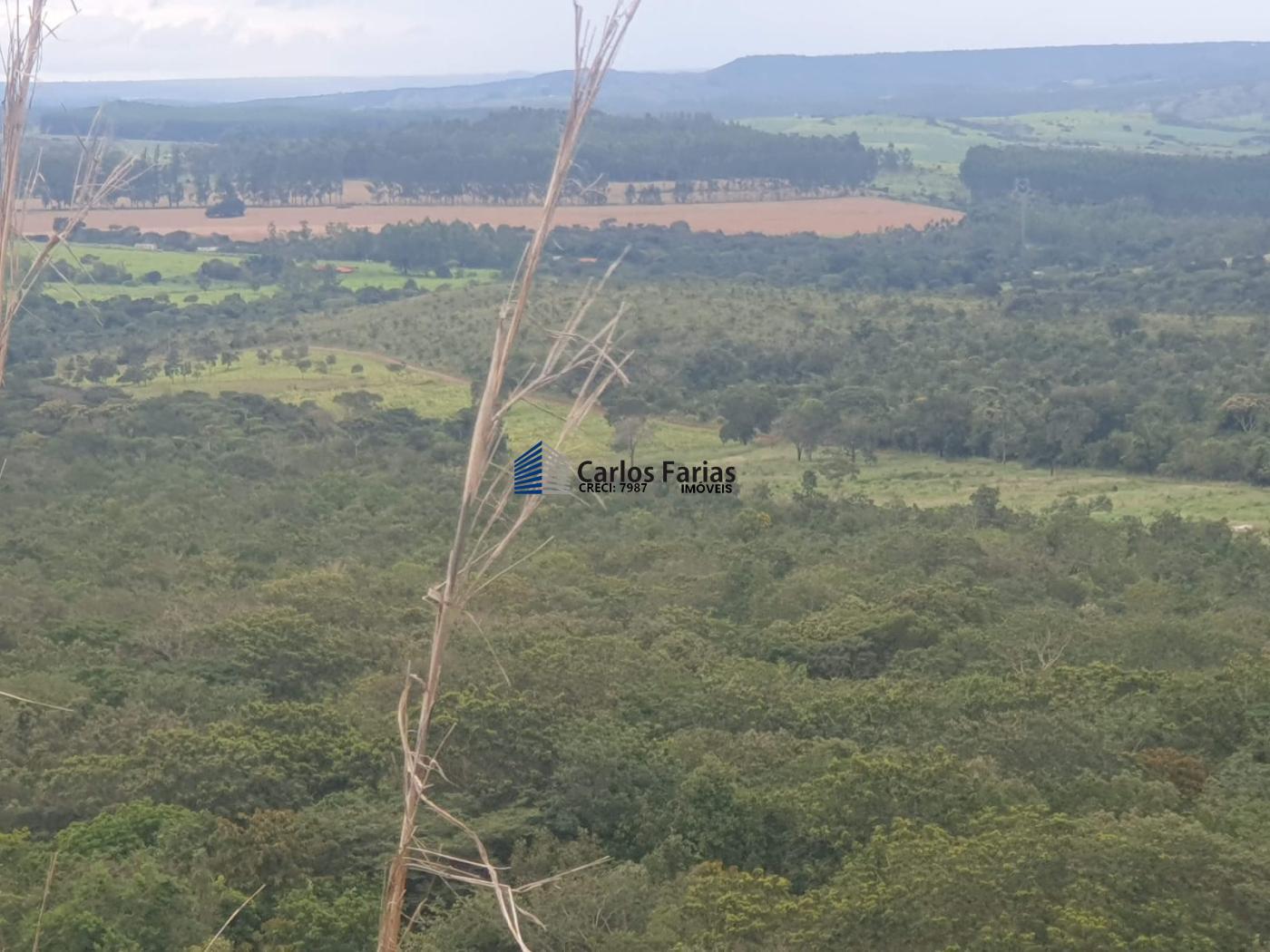 Fazenda à venda com 4 quartos, 300m² - Foto 34