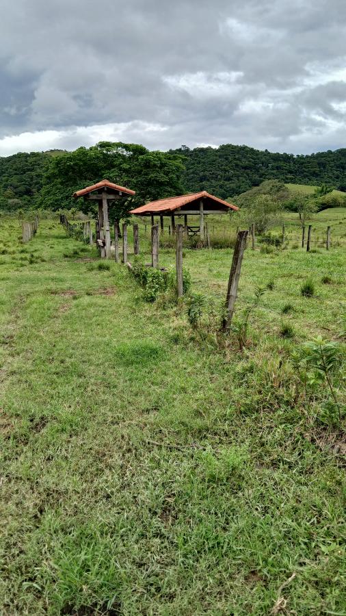 Fazenda à venda com 4 quartos, 19m² - Foto 15