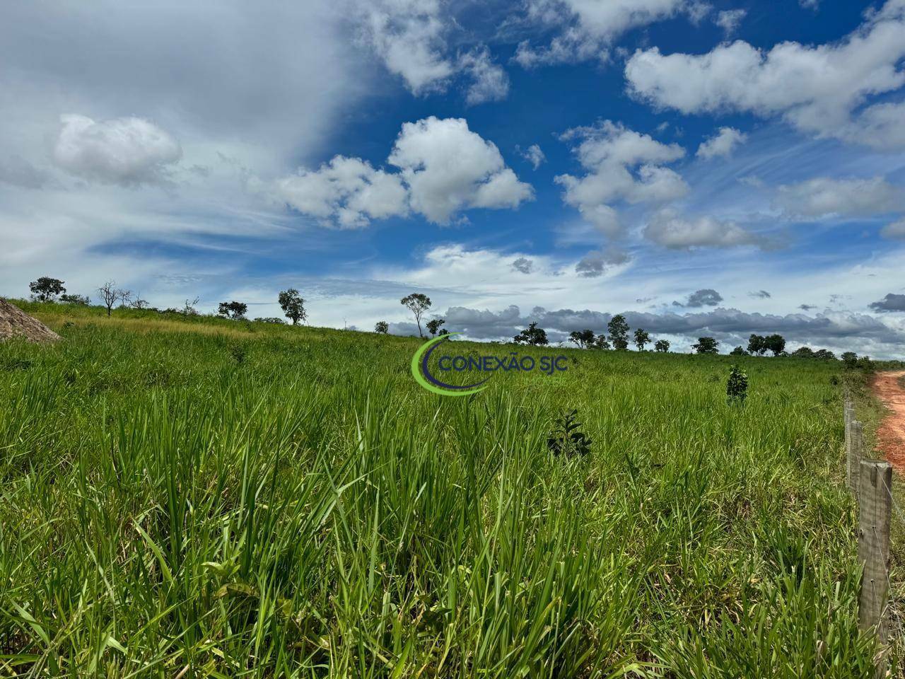 Fazenda à venda com 3 quartos, 19360000M2 - Foto 15