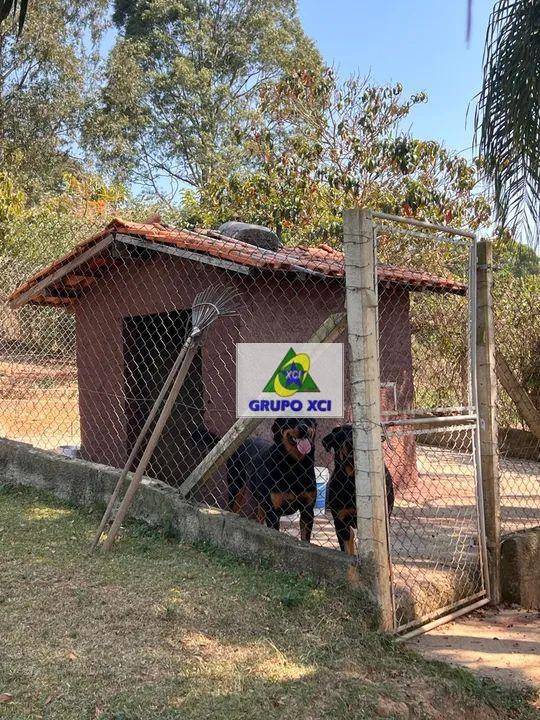 Sítio à venda com 2 quartos, 5000M2 - Foto 19