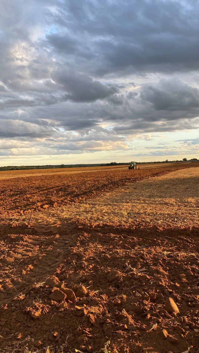 Fazenda-Sítio-Chácara, 1580 hectares - Foto 5