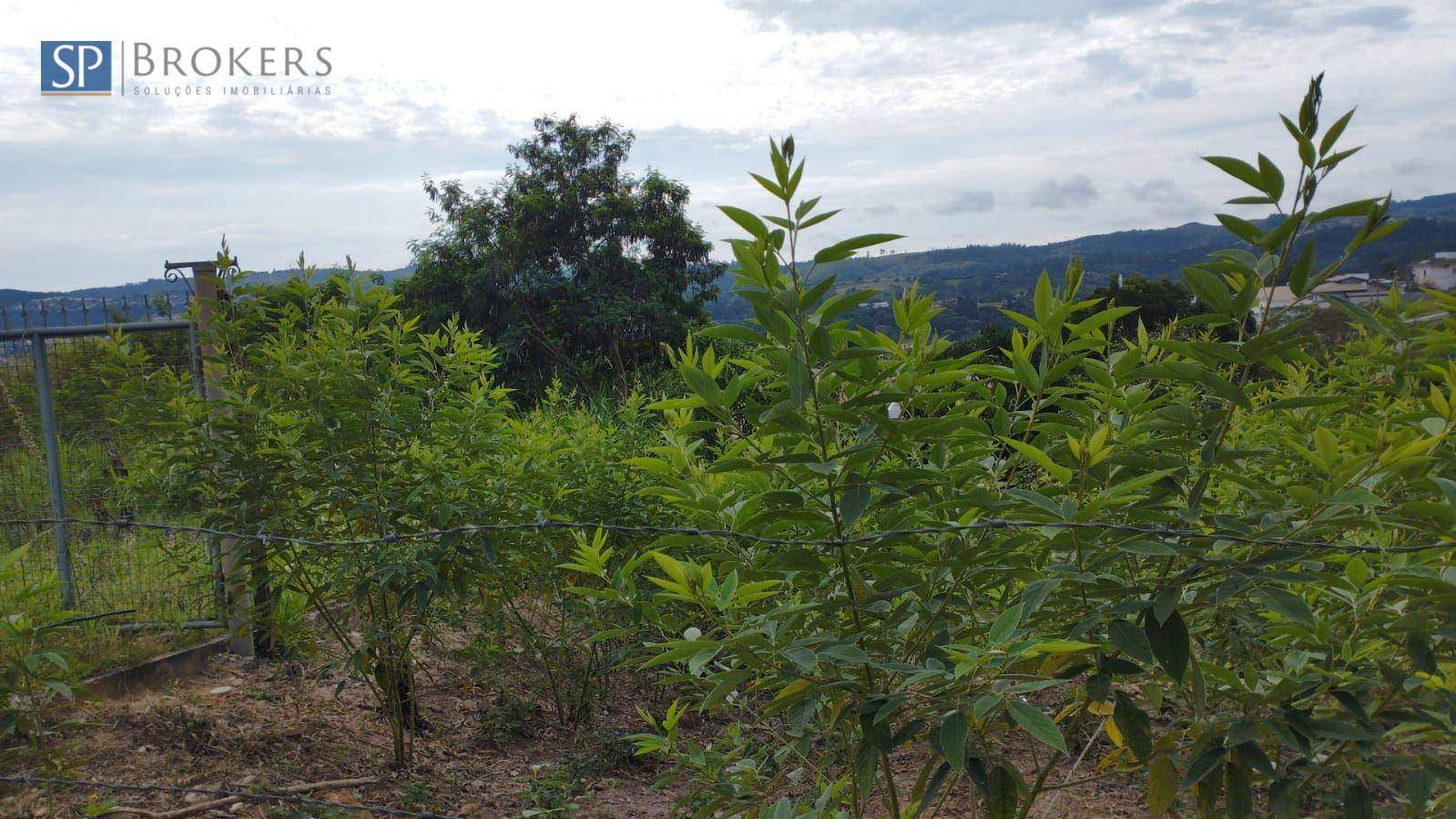 Terreno, 2403 m² - Foto 6