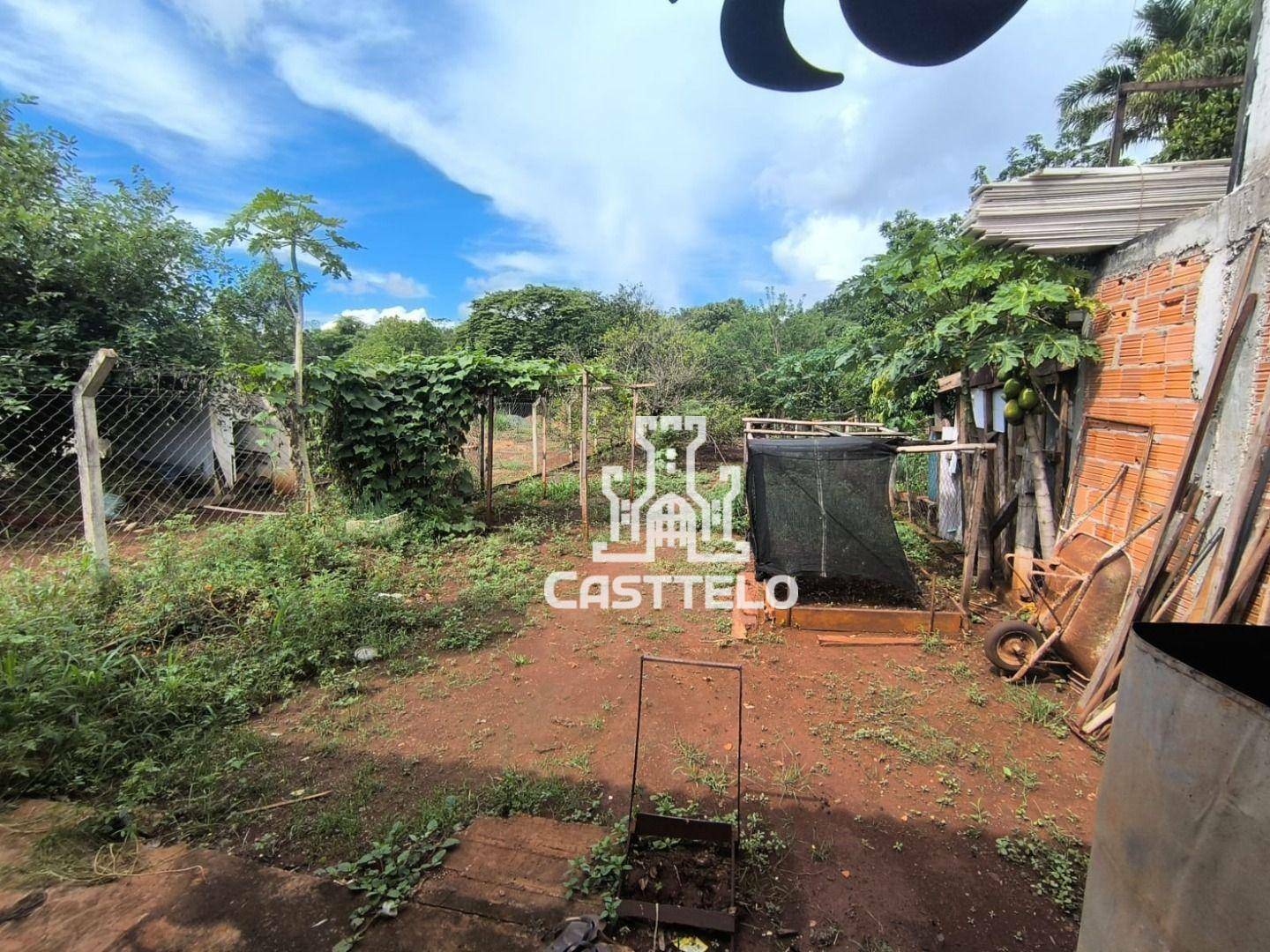 Chácara à venda com 1 quarto, 1200M2 - Foto 39