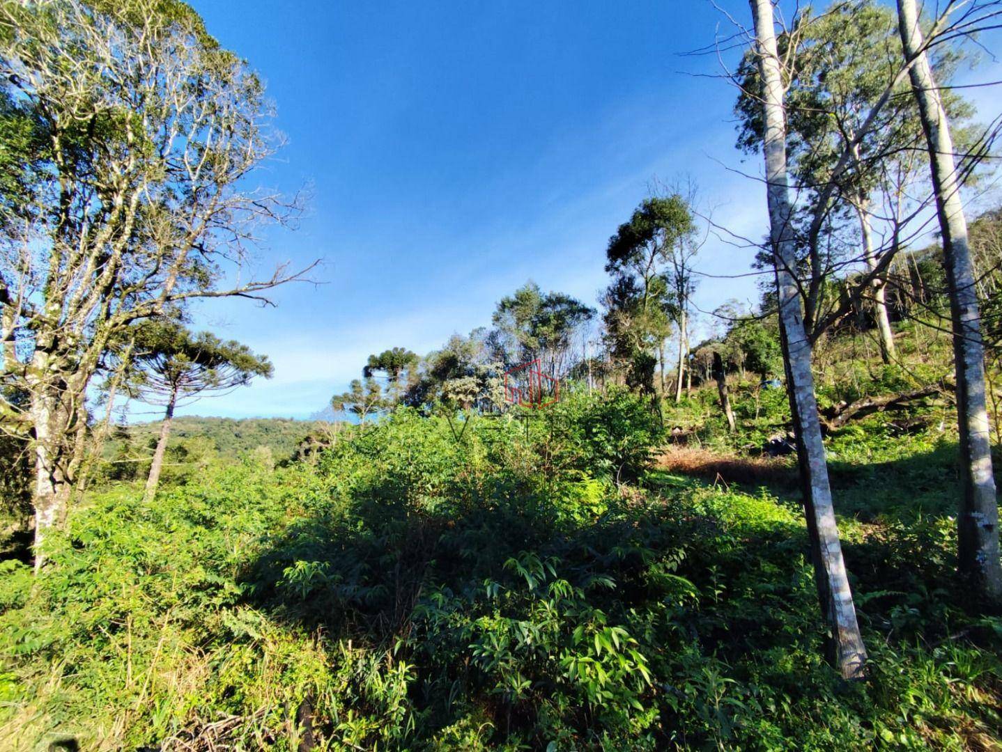 Sítio à venda, 30000M2 - Foto 1