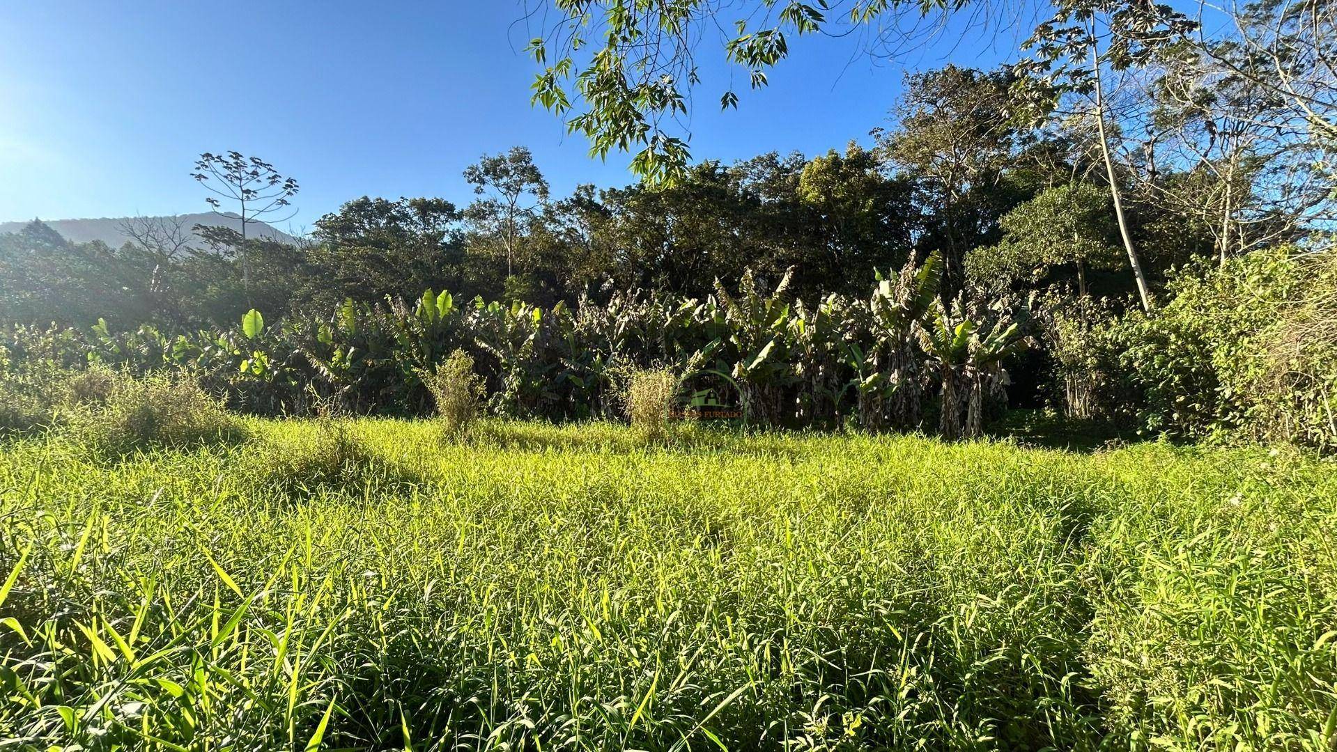 Sítio, 19 hectares - Foto 18