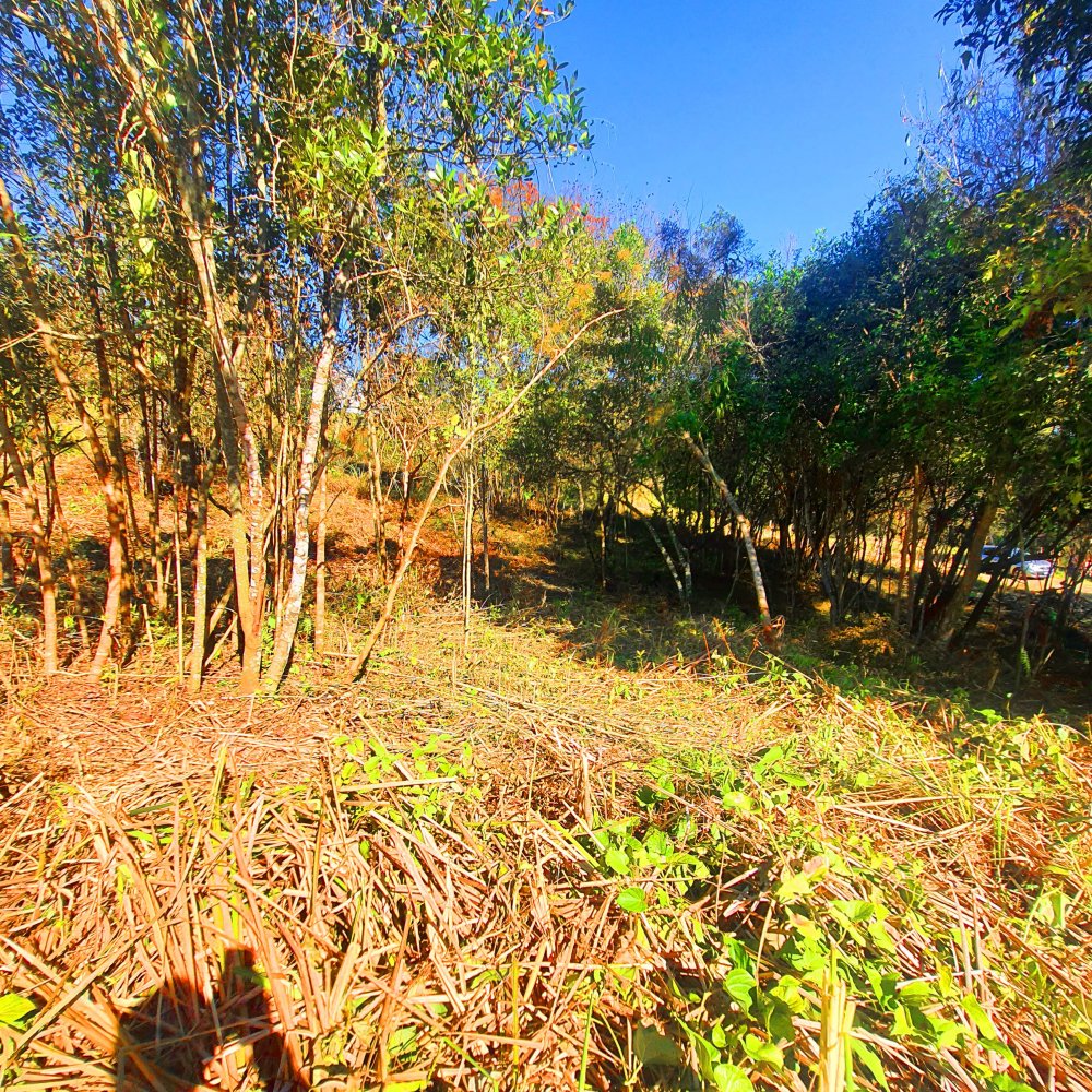 Terreno à venda, 1290m² - Foto 19