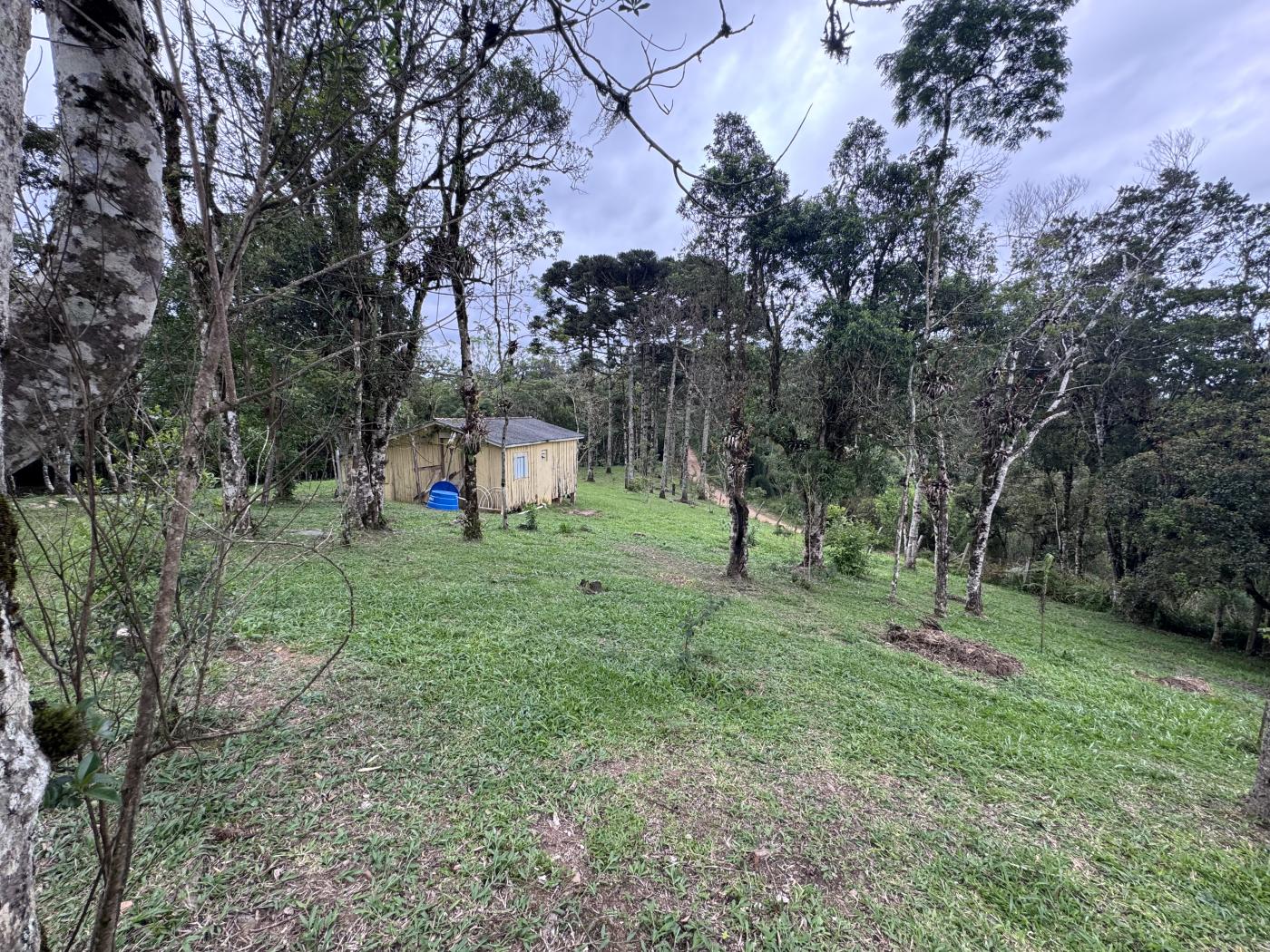Chácara à venda com 4 quartos, 15000m² - Foto 27