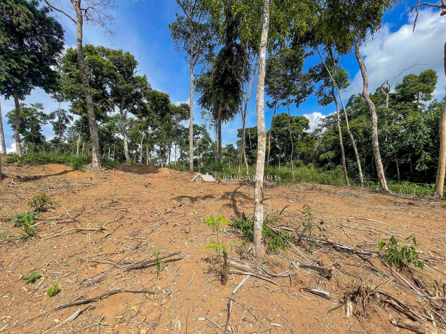 Terreno à venda, 1253M2 - Foto 5