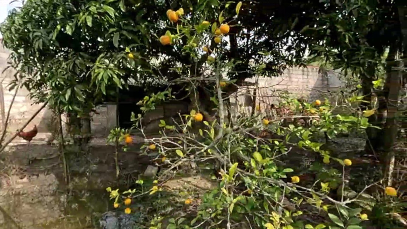 Chácara à venda com 3 quartos, 1500m² - Foto 25