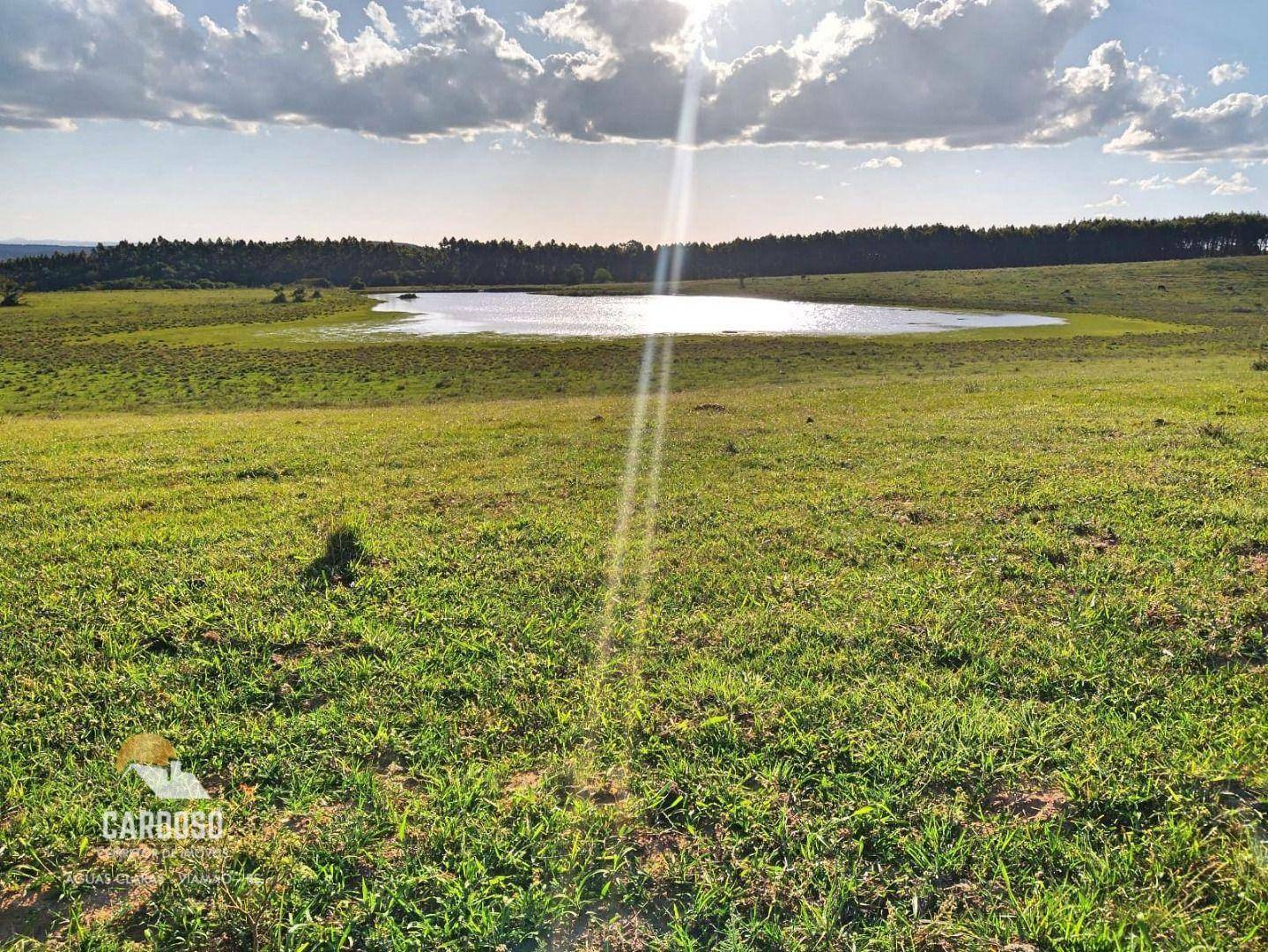 Fazenda à venda, 3160000M2 - Foto 18