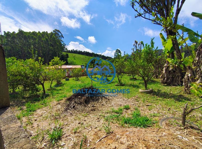 Fazenda à venda com 3 quartos, 3500m² - Foto 3