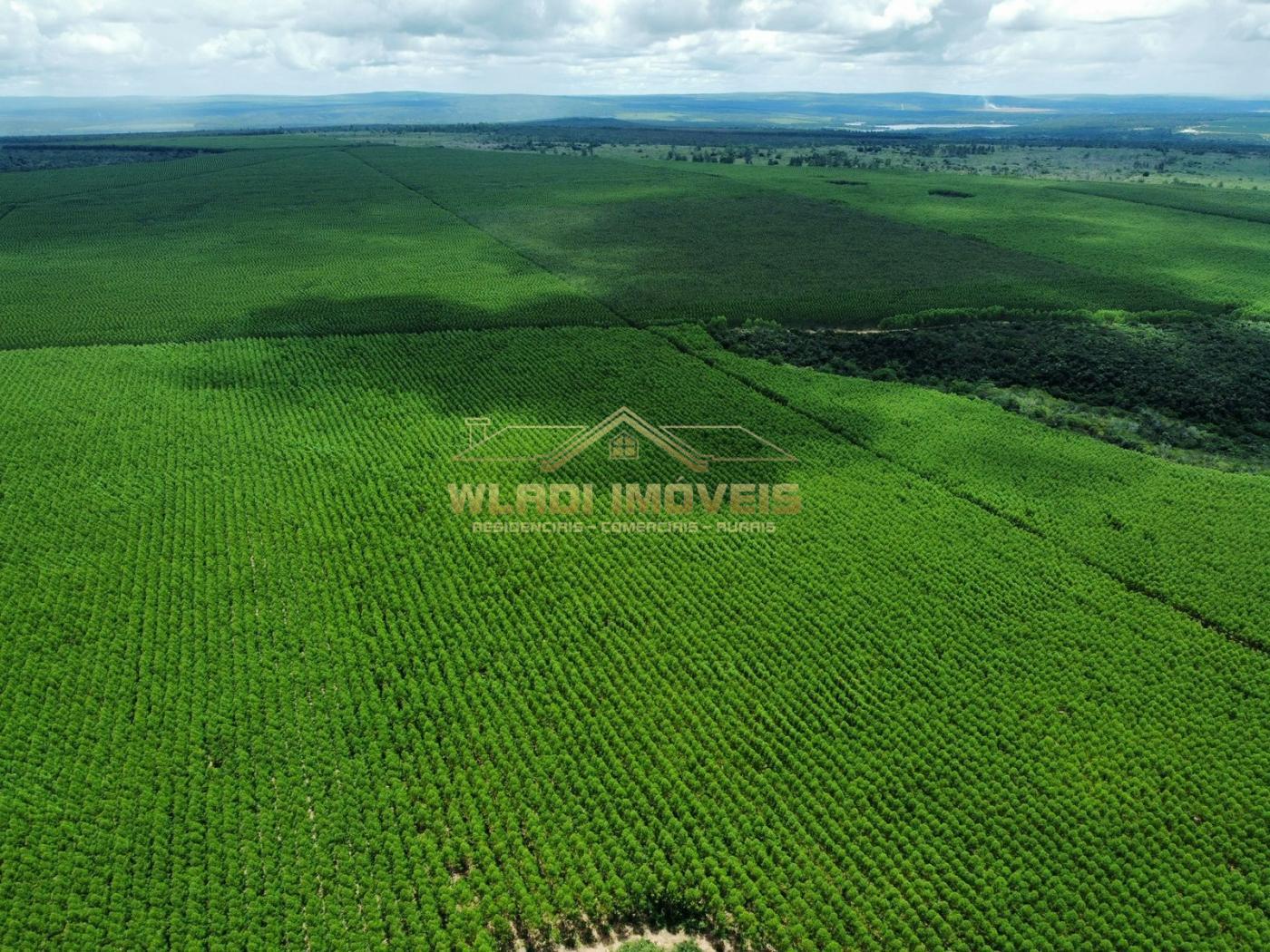 Fazenda à venda, 15764m² - Foto 5