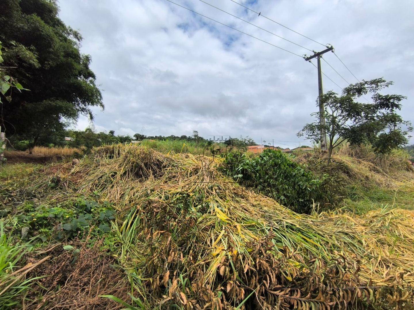 Chácara à venda, 2000M2 - Foto 4