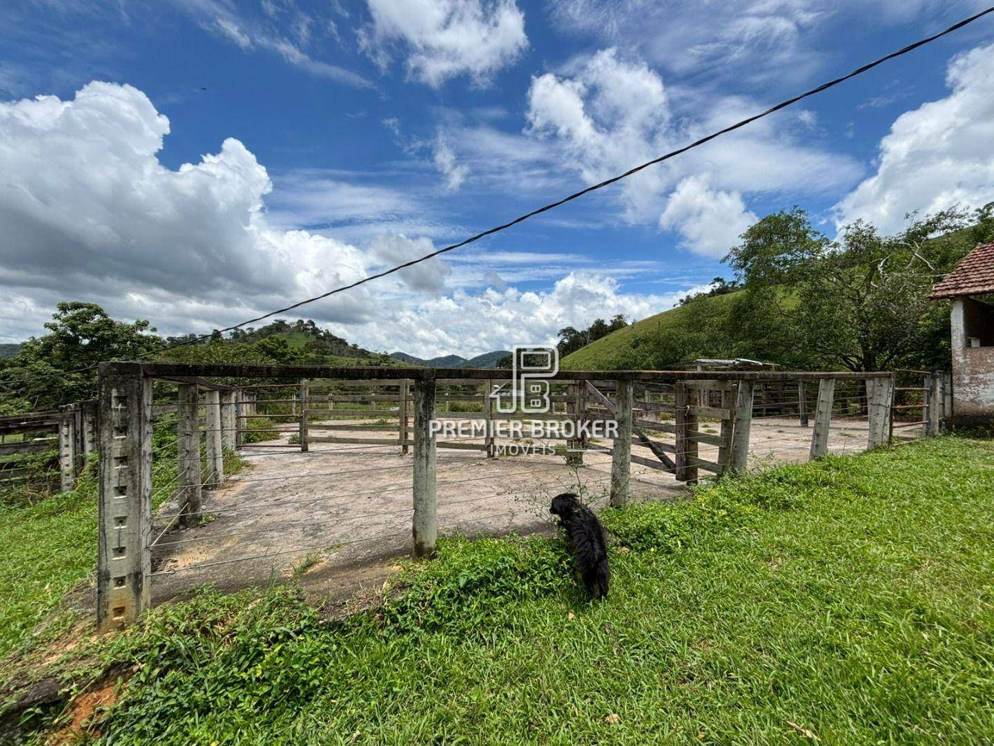 Fazenda à venda com 3 quartos, 250m² - Foto 10
