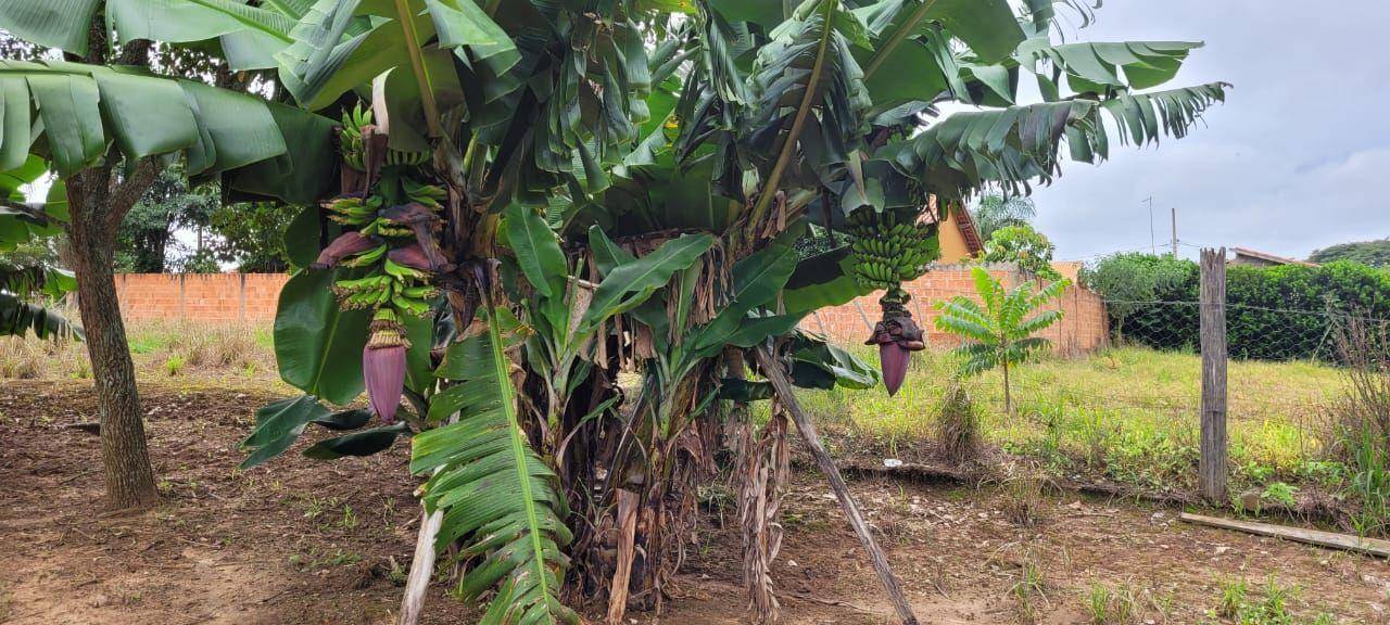 Chácara, 3 quartos, 2 hectares - Foto 2