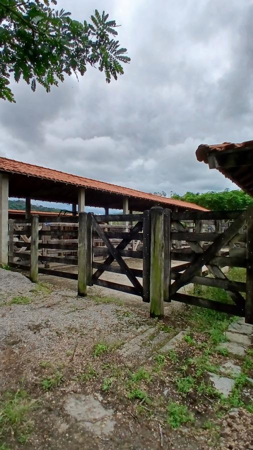 Fazenda à venda com 4 quartos, 19m² - Foto 27