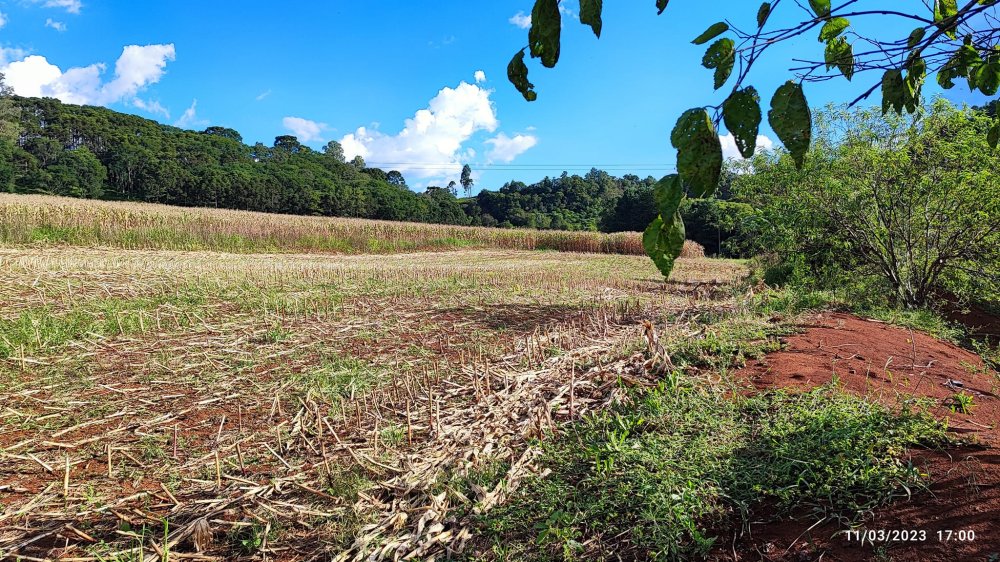 Fazenda à venda com 3 quartos, 6m² - Foto 10