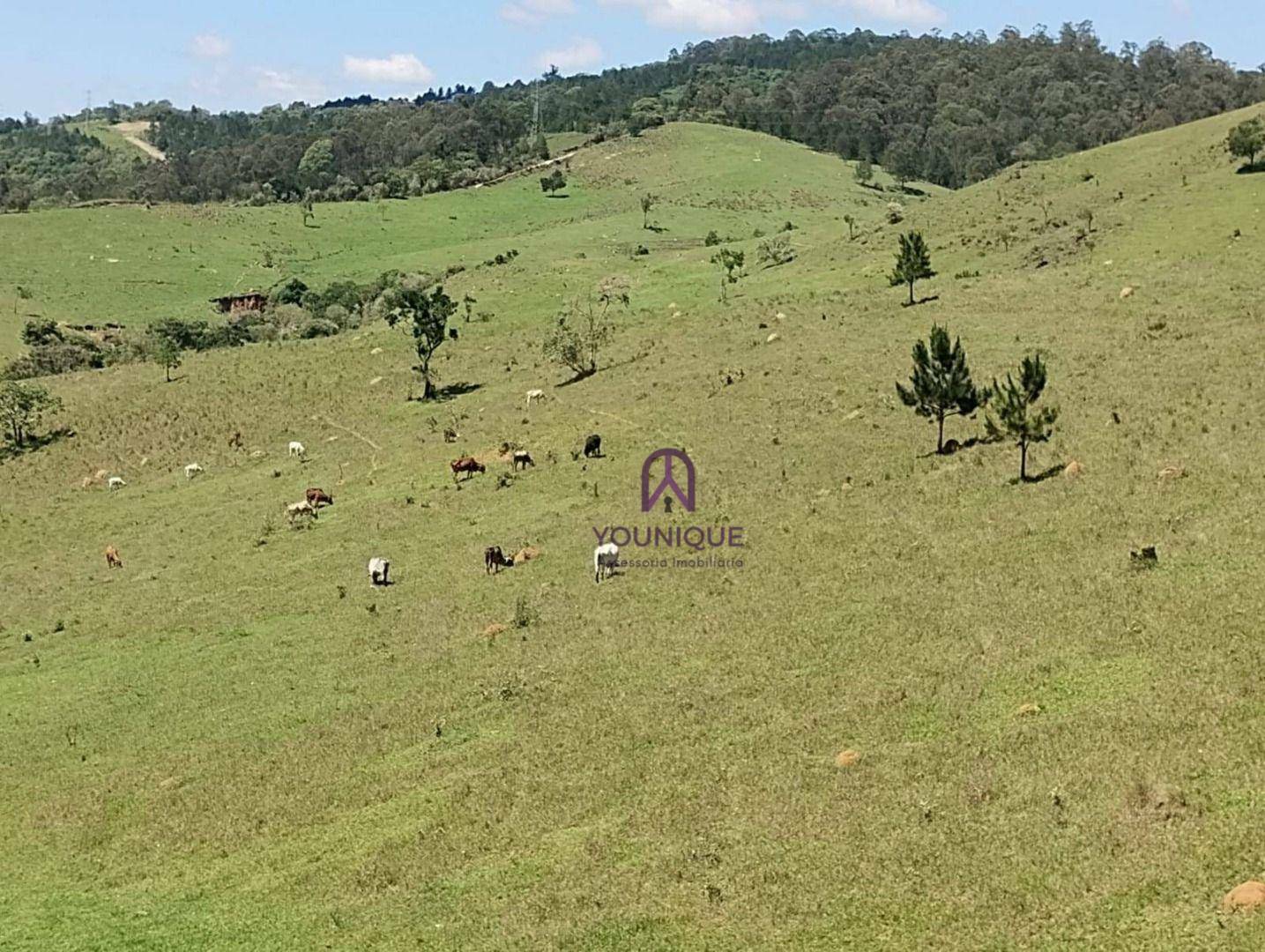 Terreno à venda, 1204M2 - Foto 10