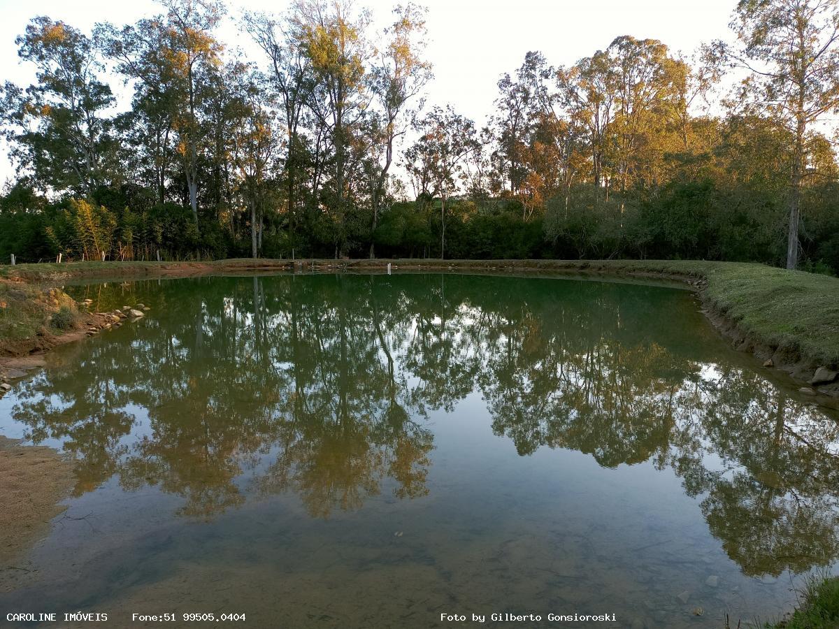 Fazenda à venda com 3 quartos, 586000m² - Foto 1