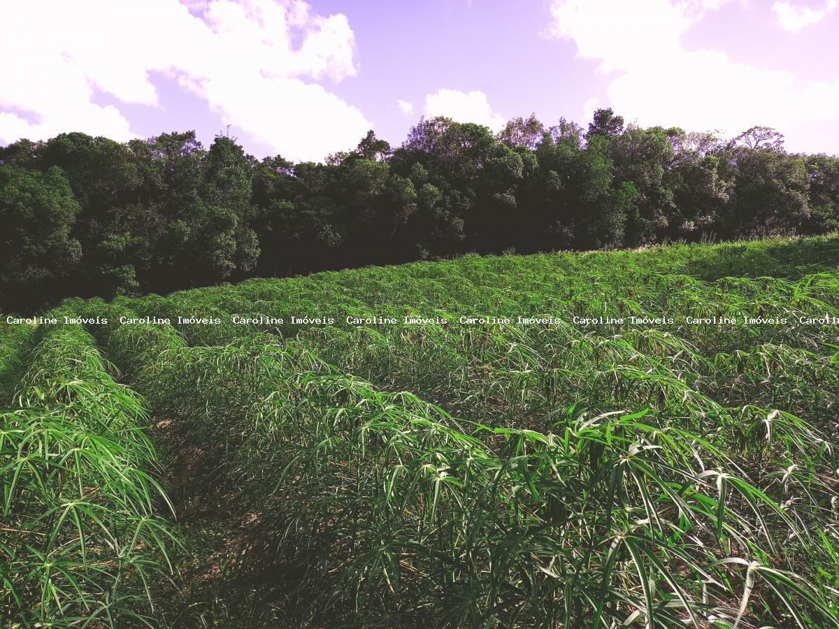 Fazenda à venda, 250000m² - Foto 7