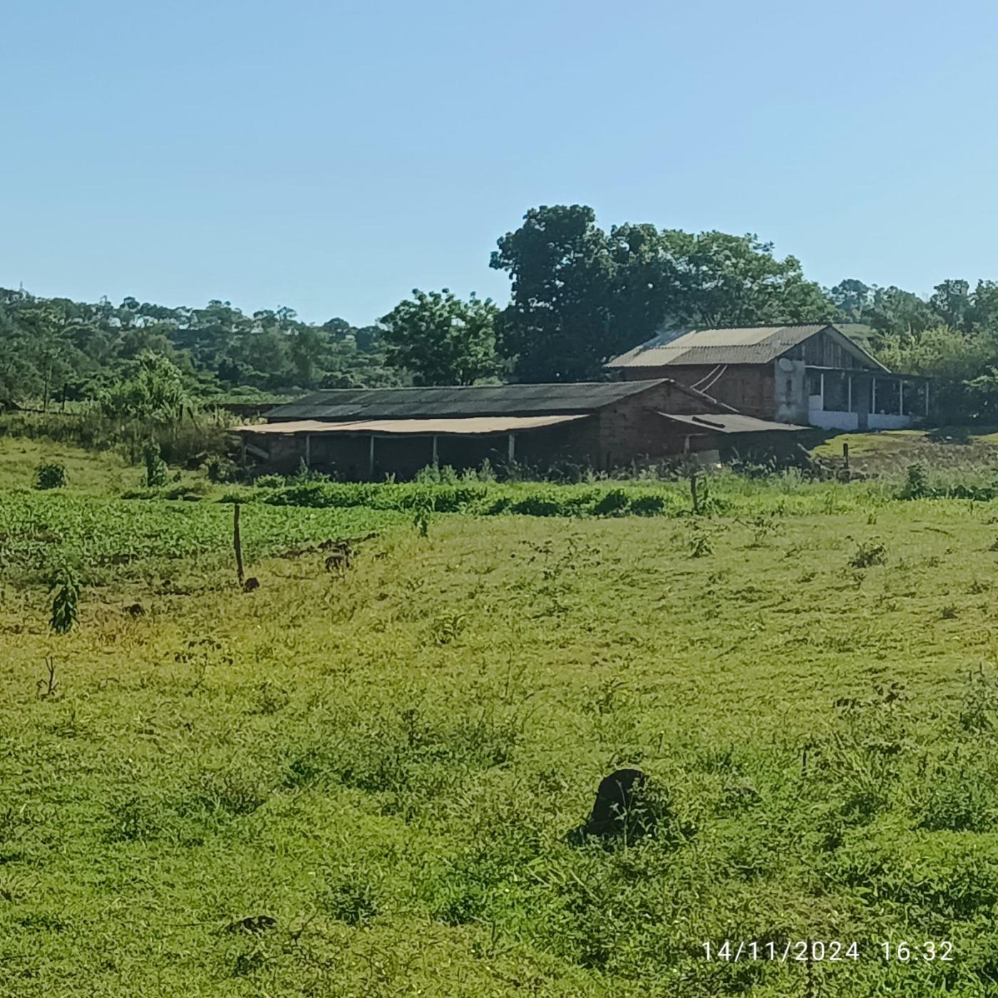 Fazenda à venda, 81160m² - Foto 32