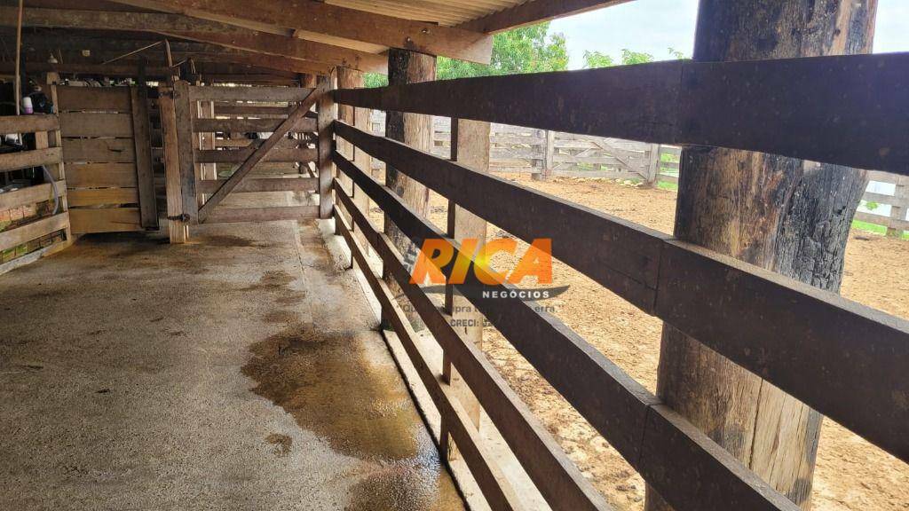 Fazenda à venda com 2 quartos, 4100000M2 - Foto 15