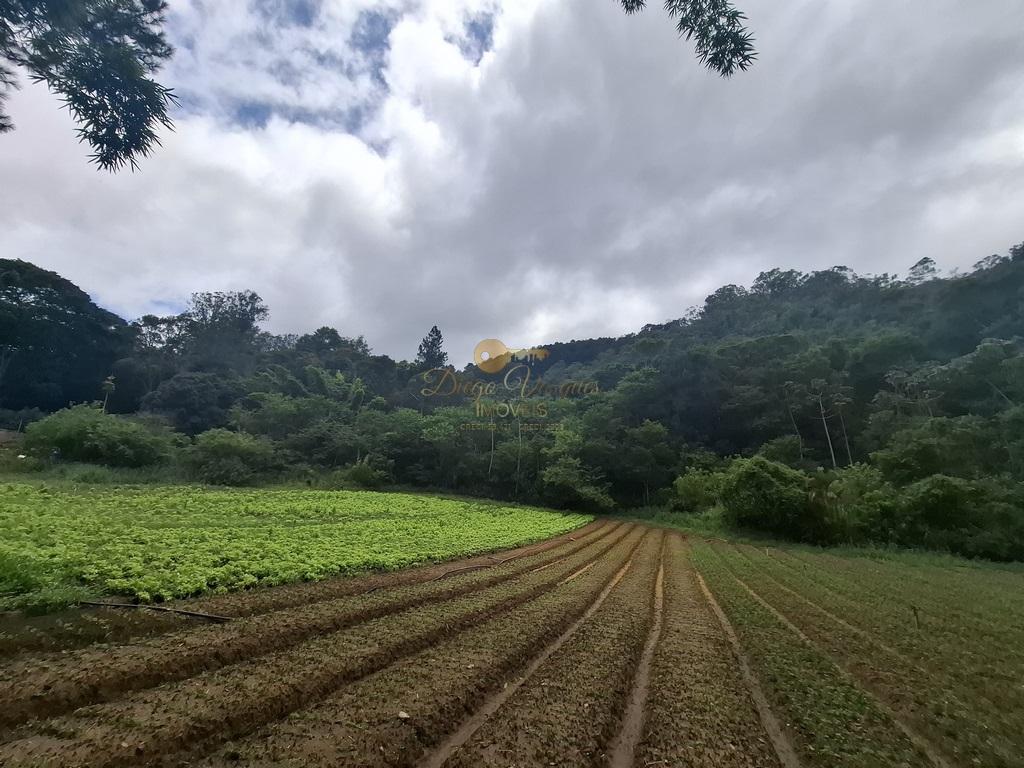 Sítio à venda com 5 quartos, 96800m² - Foto 61