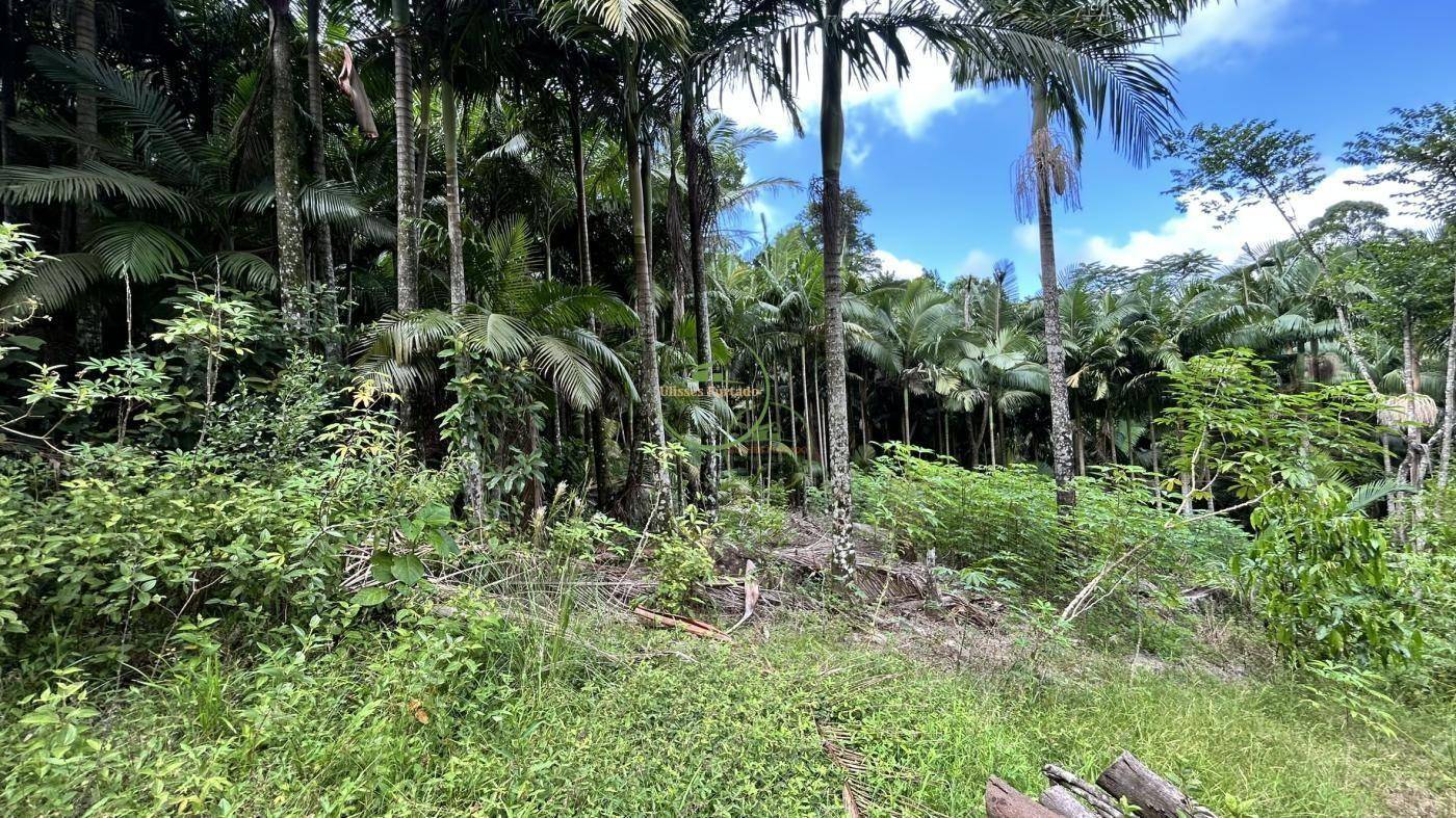 Sítio, 218 m² - Foto 10