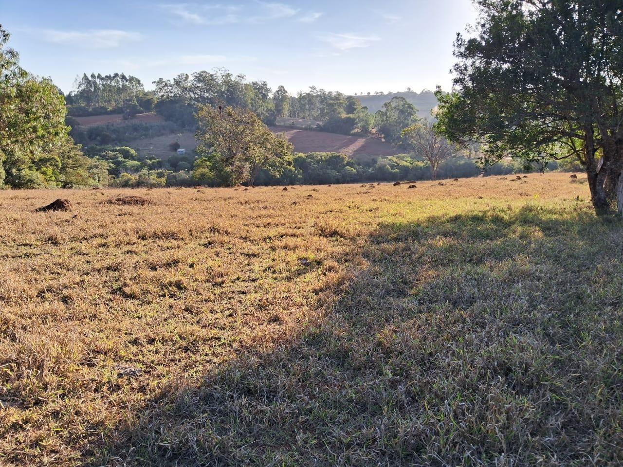 Fazenda à venda, 36000m² - Foto 12