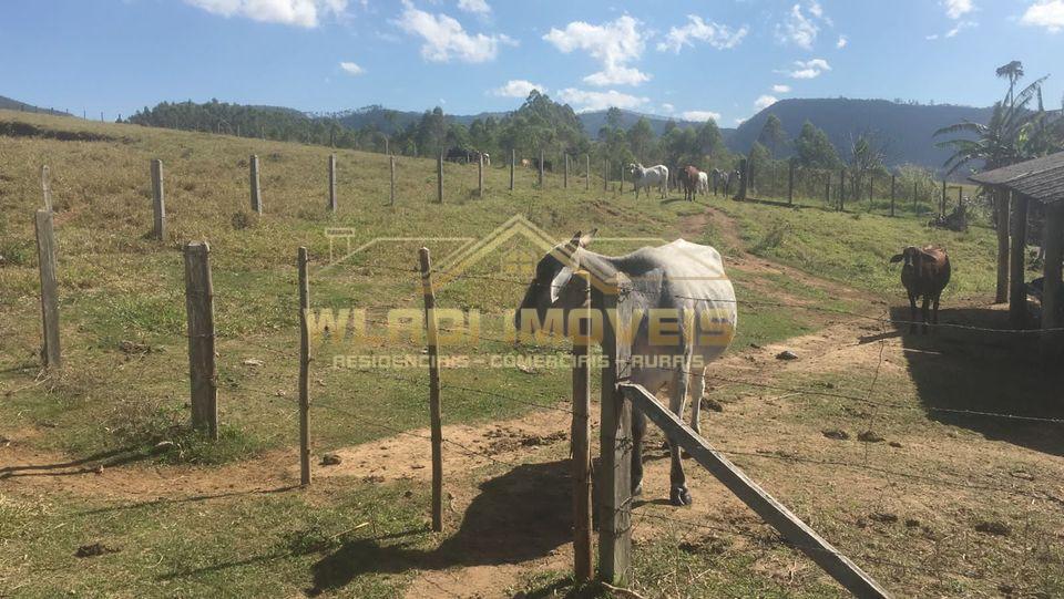 Fazenda à venda, 3m² - Foto 3