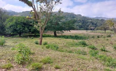 Fazenda à venda com 3 quartos, 290000m² - Foto 12