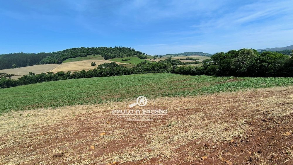 Sítio à venda, 34m² - Foto 4