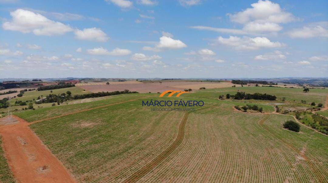 Fazenda, 307 hectares - Foto 6