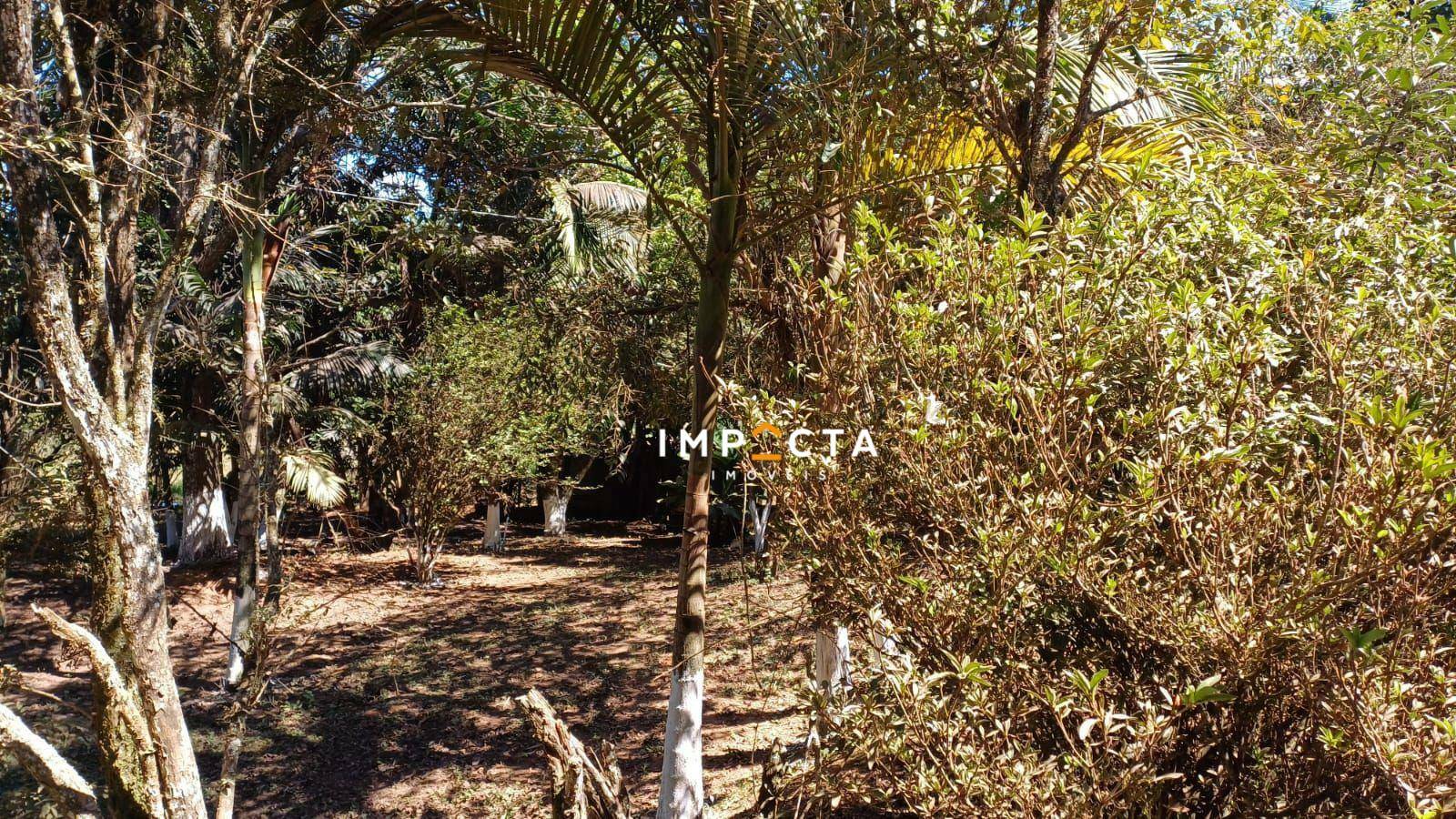 Chácara à venda com 2 quartos, 10500M2 - Foto 18