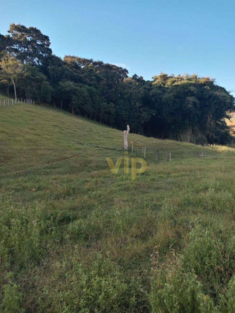 Terreno à venda, 24000M2 - Foto 4