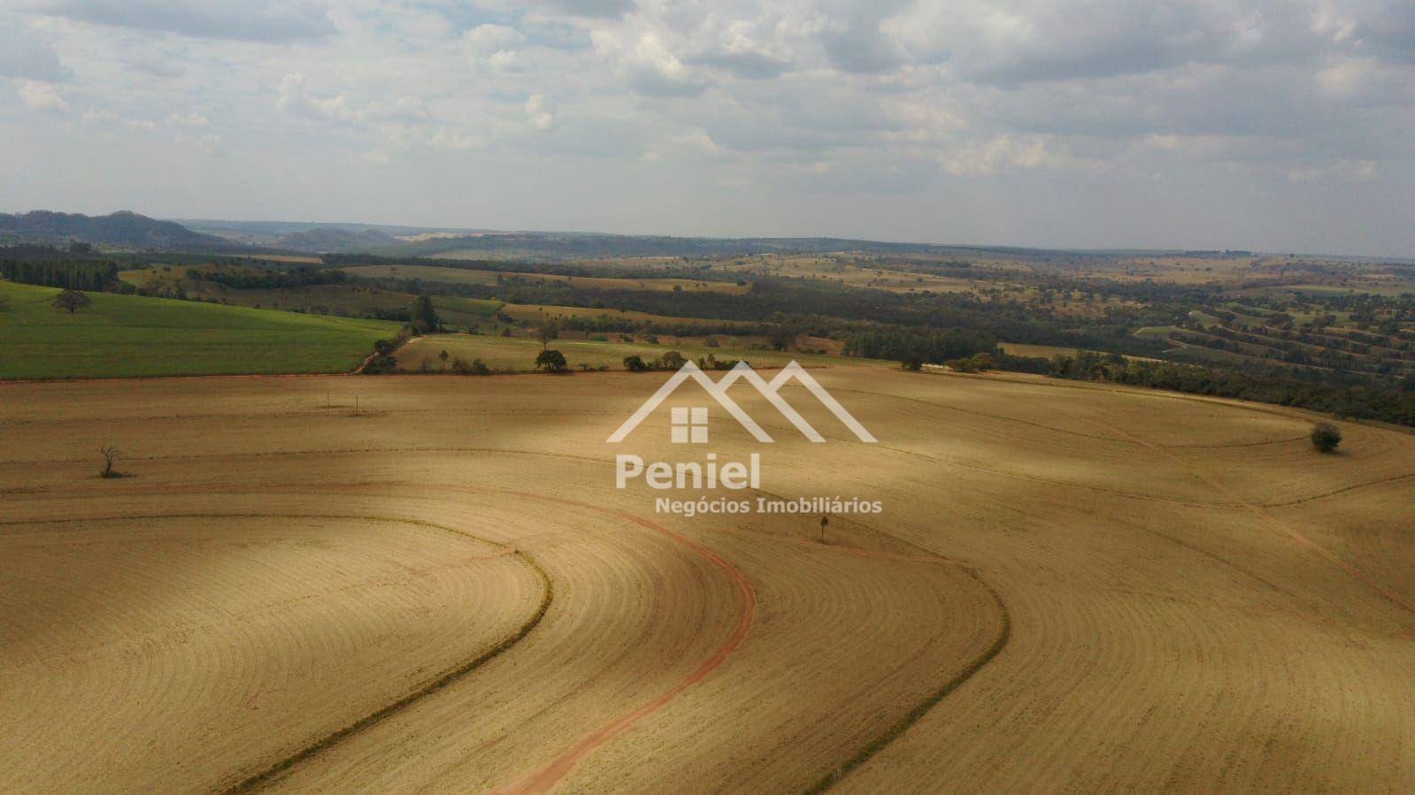 Fazenda-Sítio-Chácara, 456 hectares - Foto 3