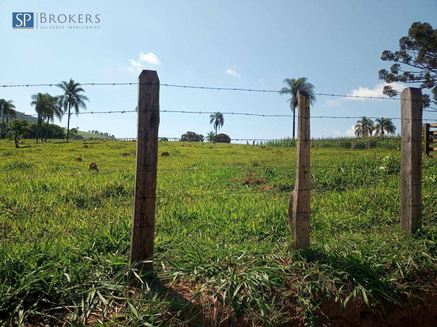 Chácara à venda com 4 quartos, 300m² - Foto 20