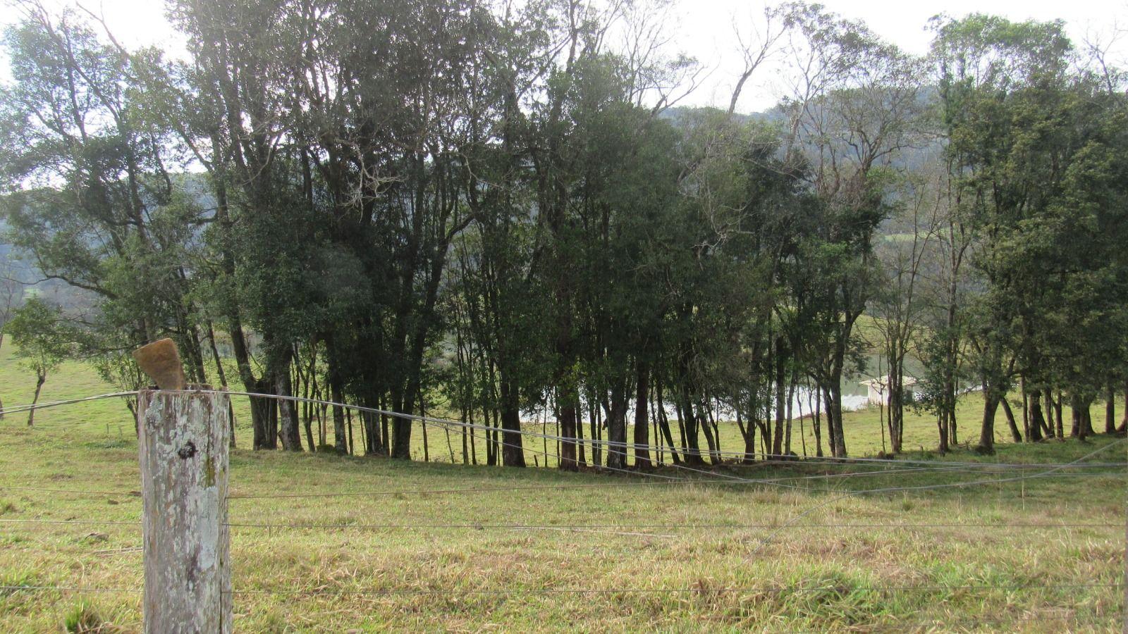 Loteamento e Condomínio à venda, 169400m² - Foto 23