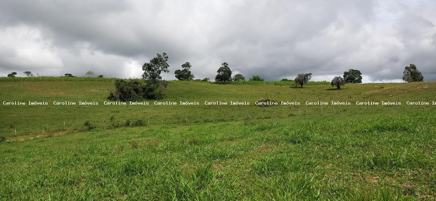 Sítio à venda com 2 quartos, 220000m² - Foto 11
